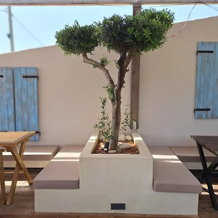 Tonea's * Himarë
