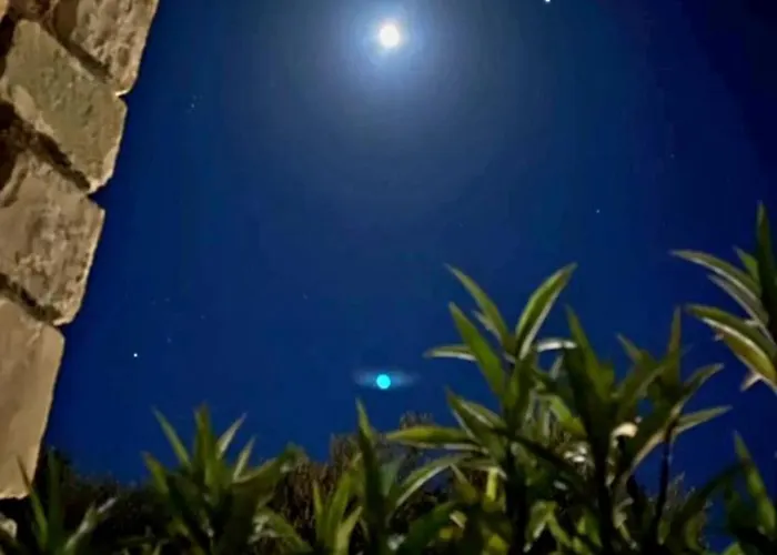 Tonea's Ferienhaus